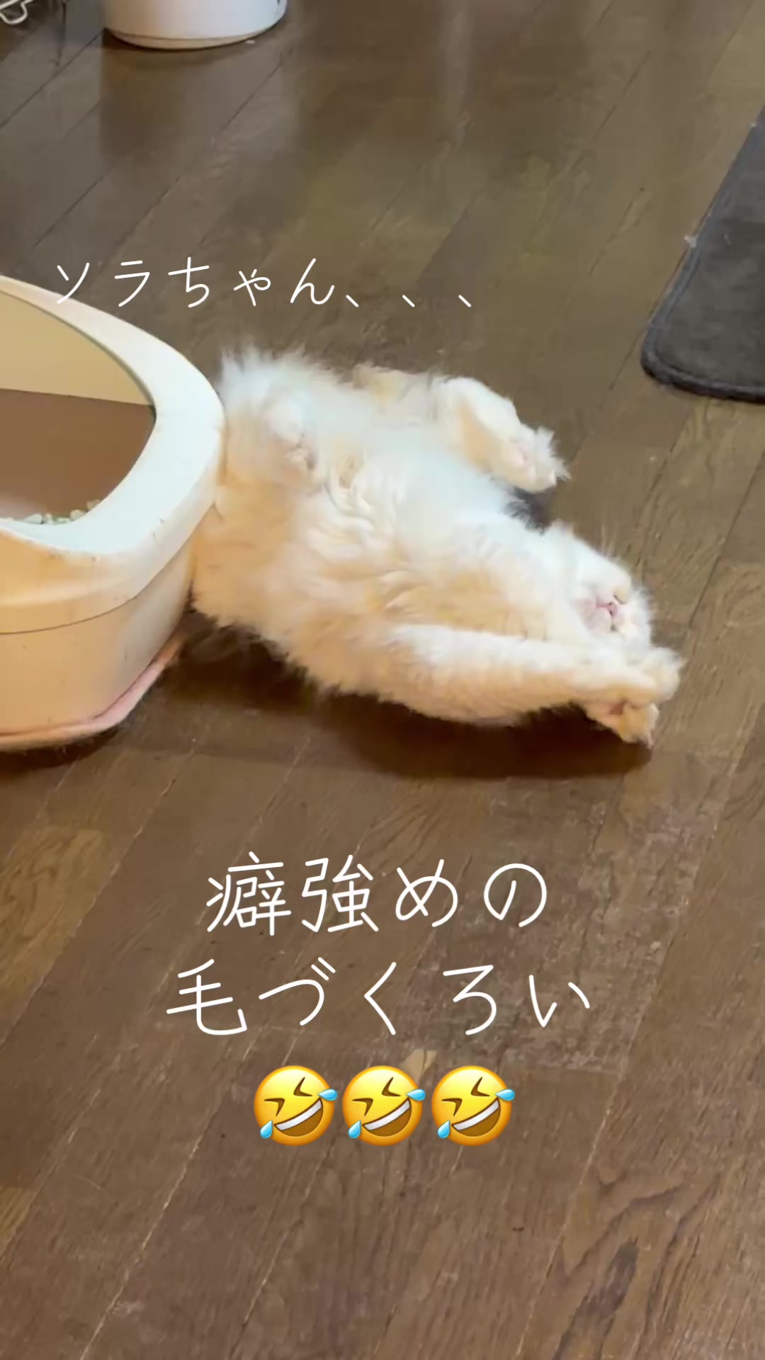 @フカカン