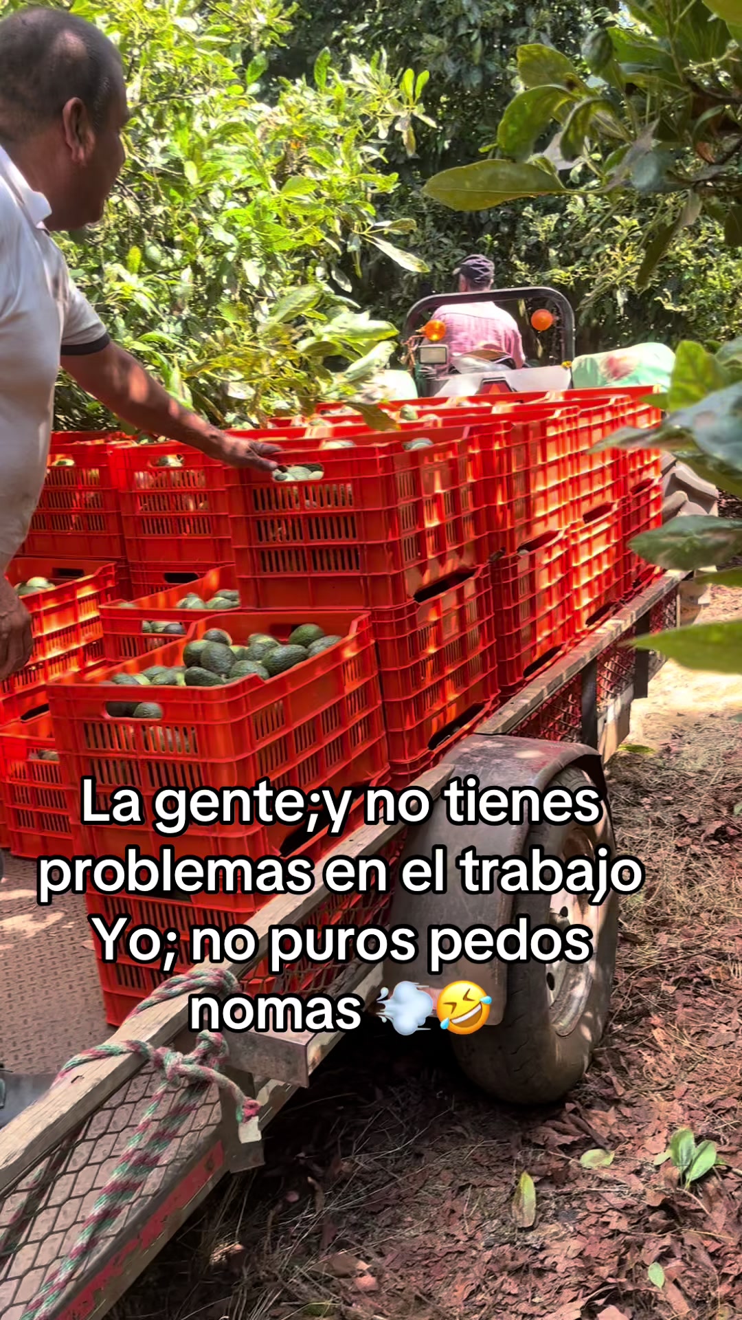 @EL SEÑOR DE LOS PEDOS