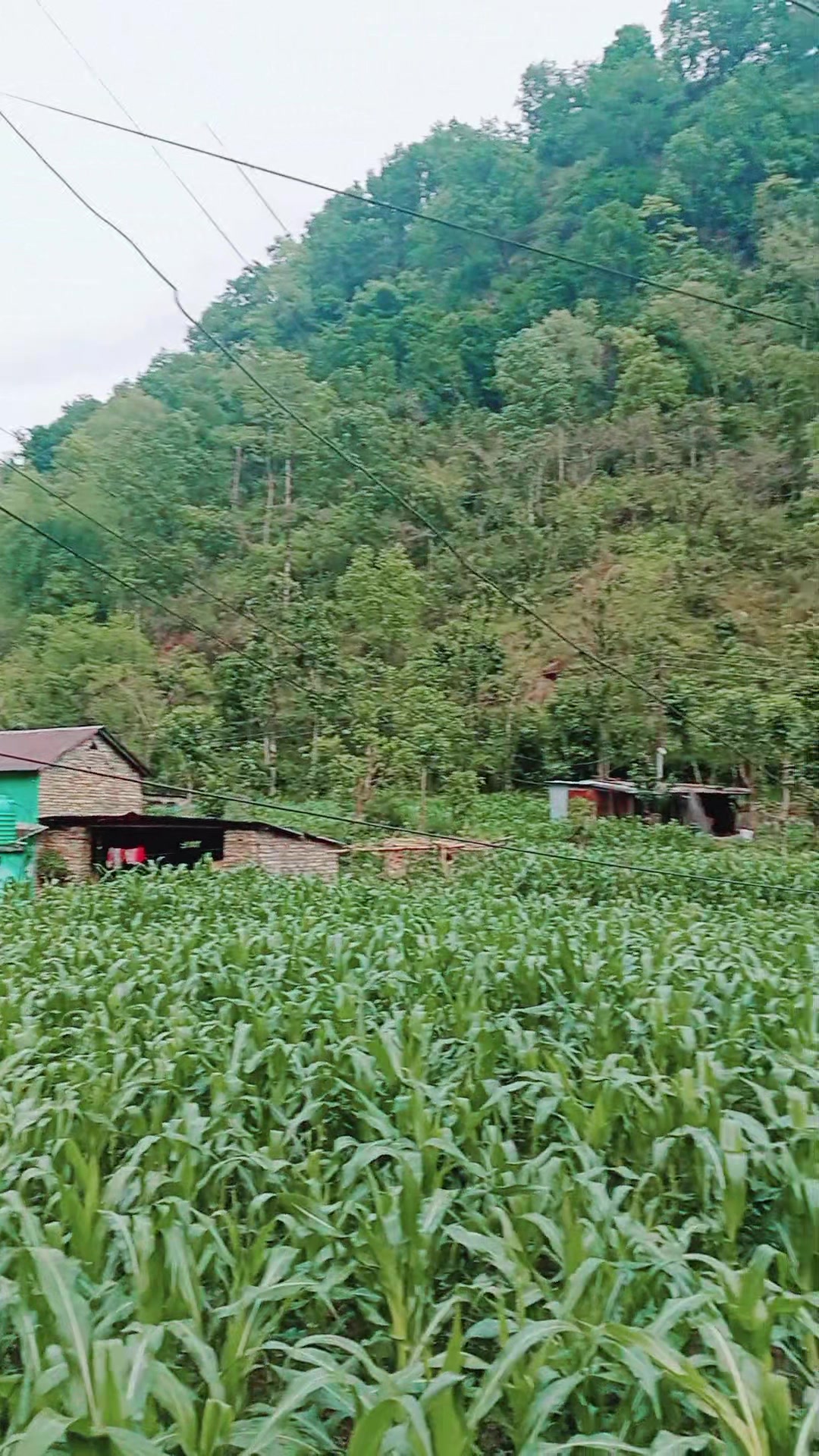 @Krishna Adhikari
