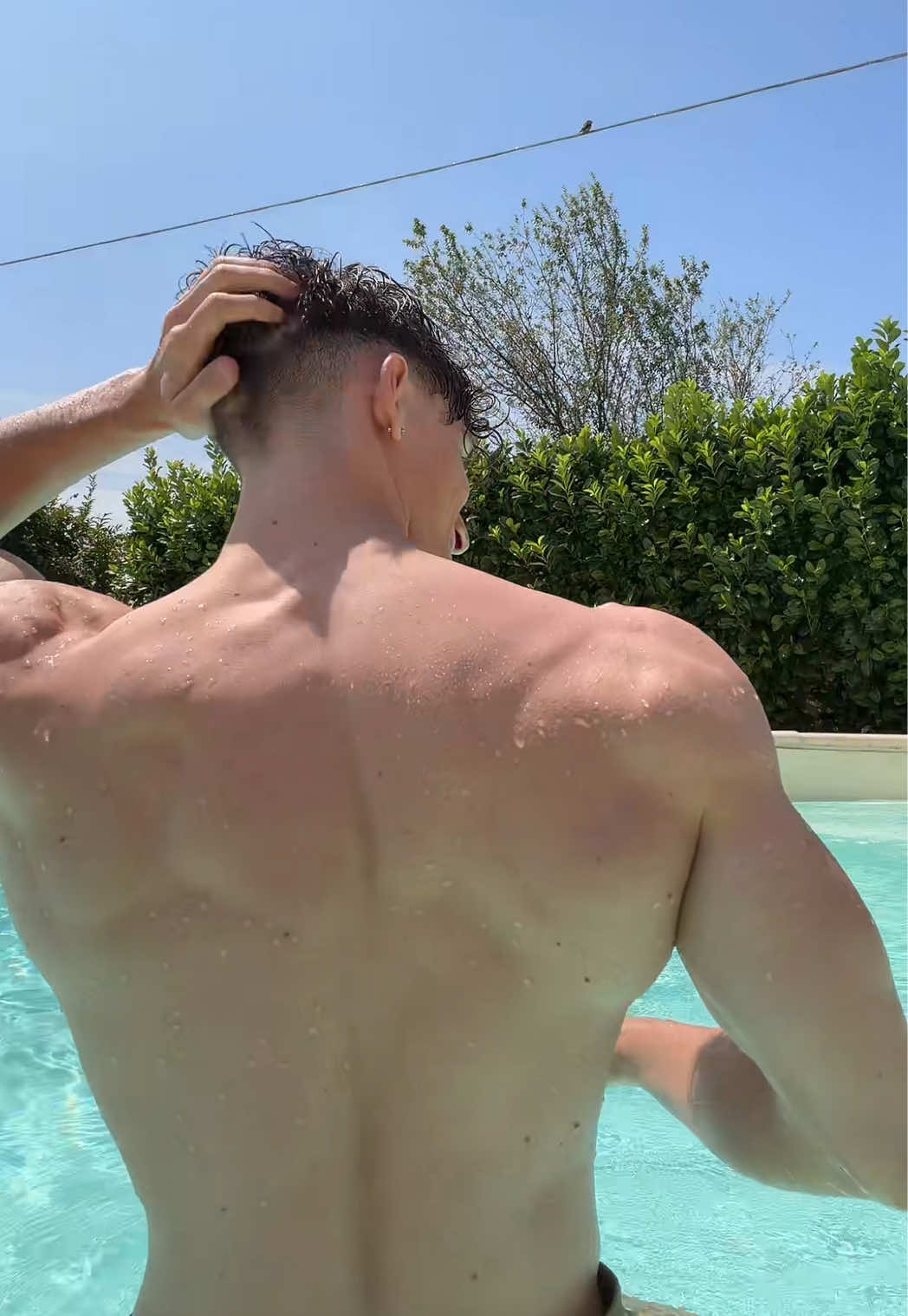@Tommywildex2