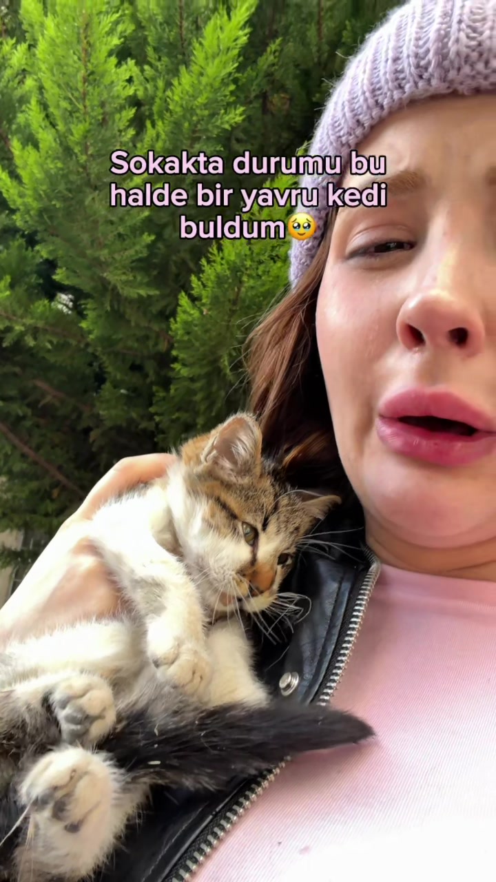 @Ayb&uuml;ke Sekin