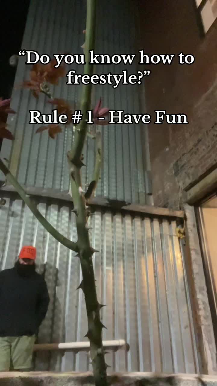 @Ali Rez