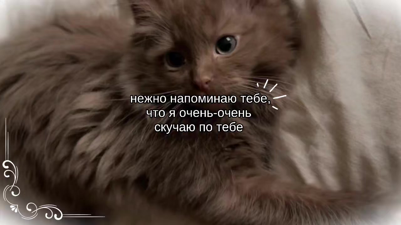 @。・:*:・゚’☆