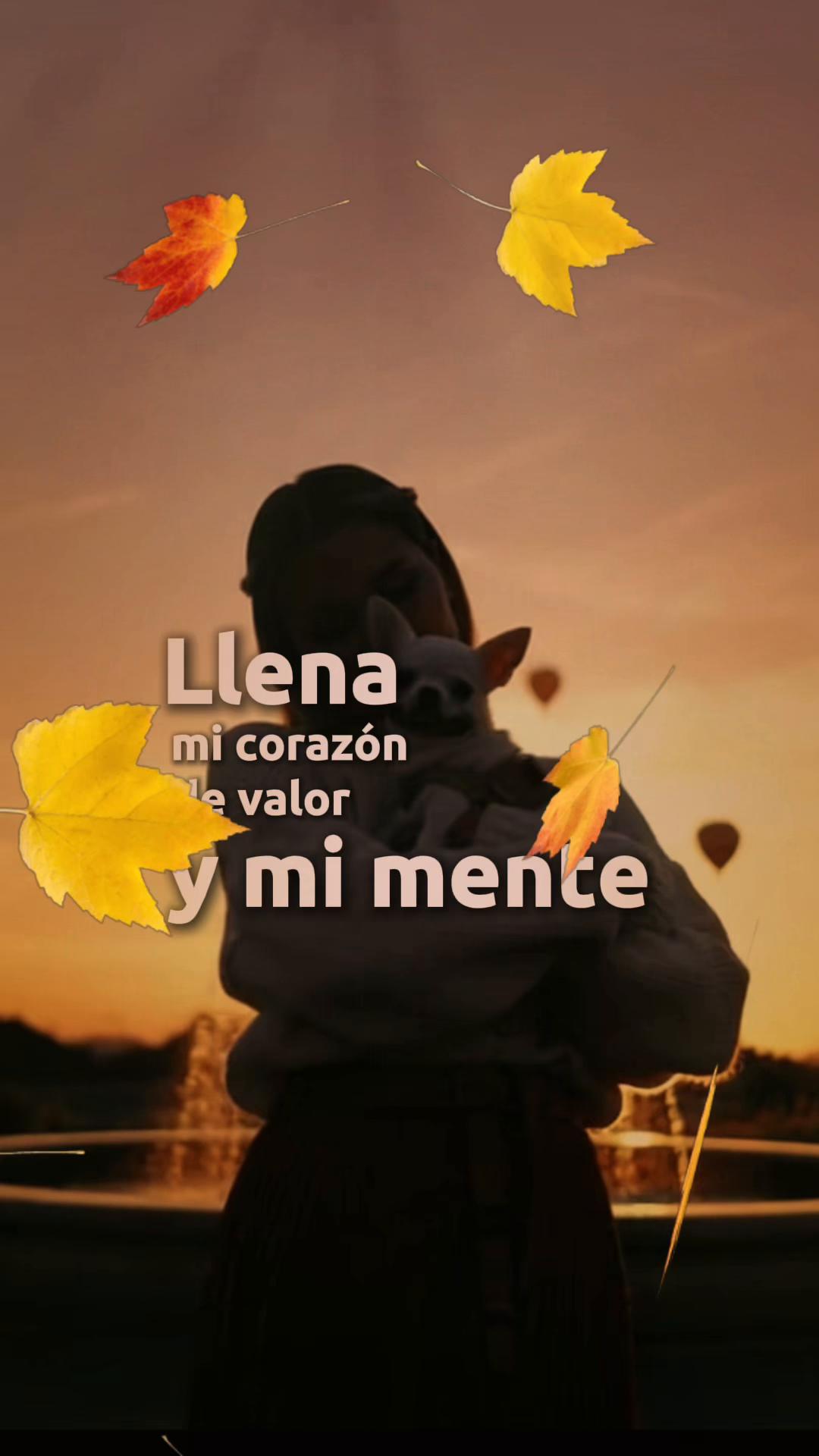 @isamyvideos4u