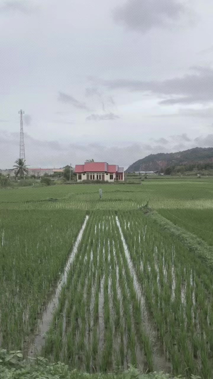 @ontaadventure