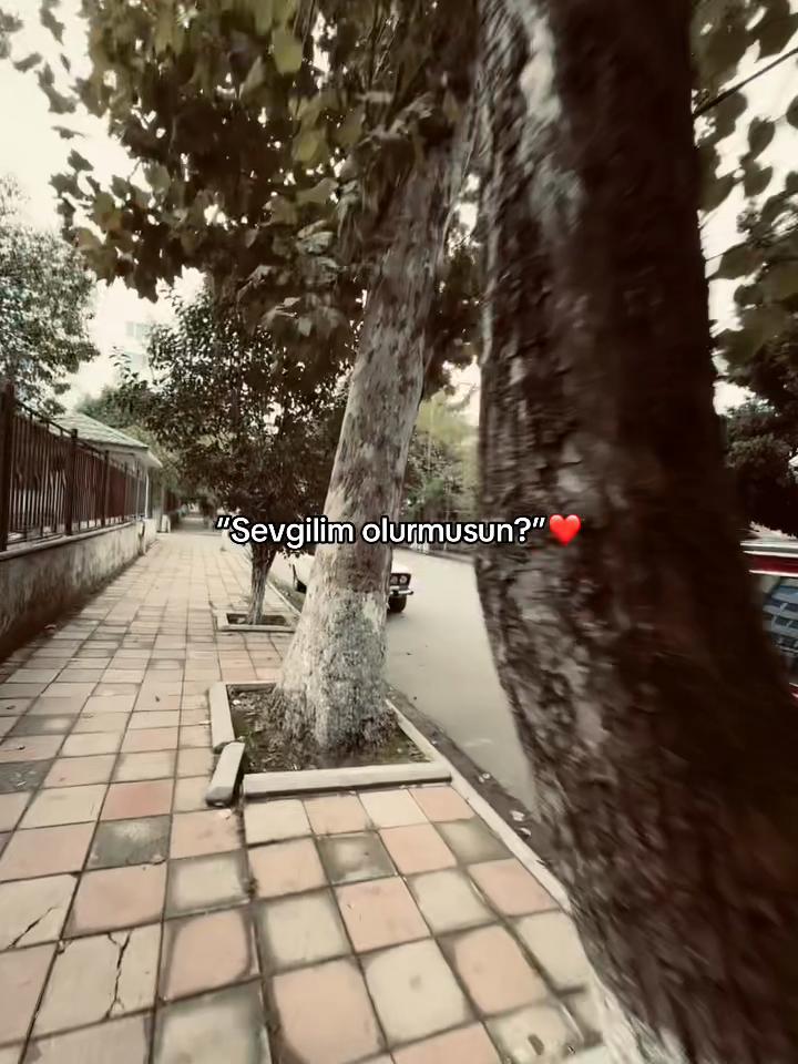 @Sinan