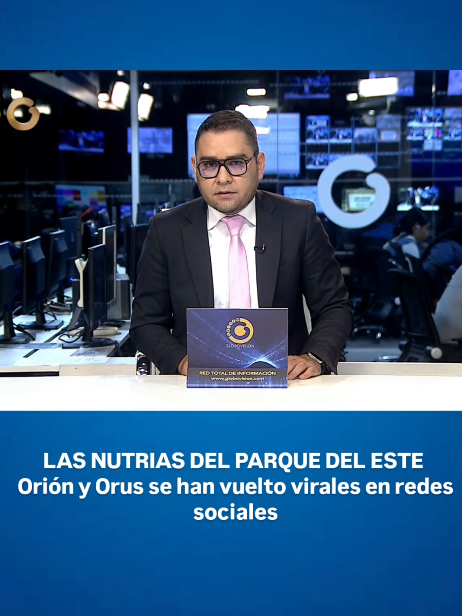 @Bernardo Luzardo