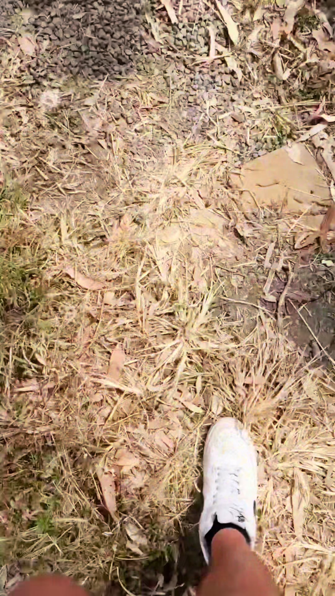 @4️⃣5️⃣_𝖋𝖎𝖑𝖒𝖘🧑🏿&zwj;🌾