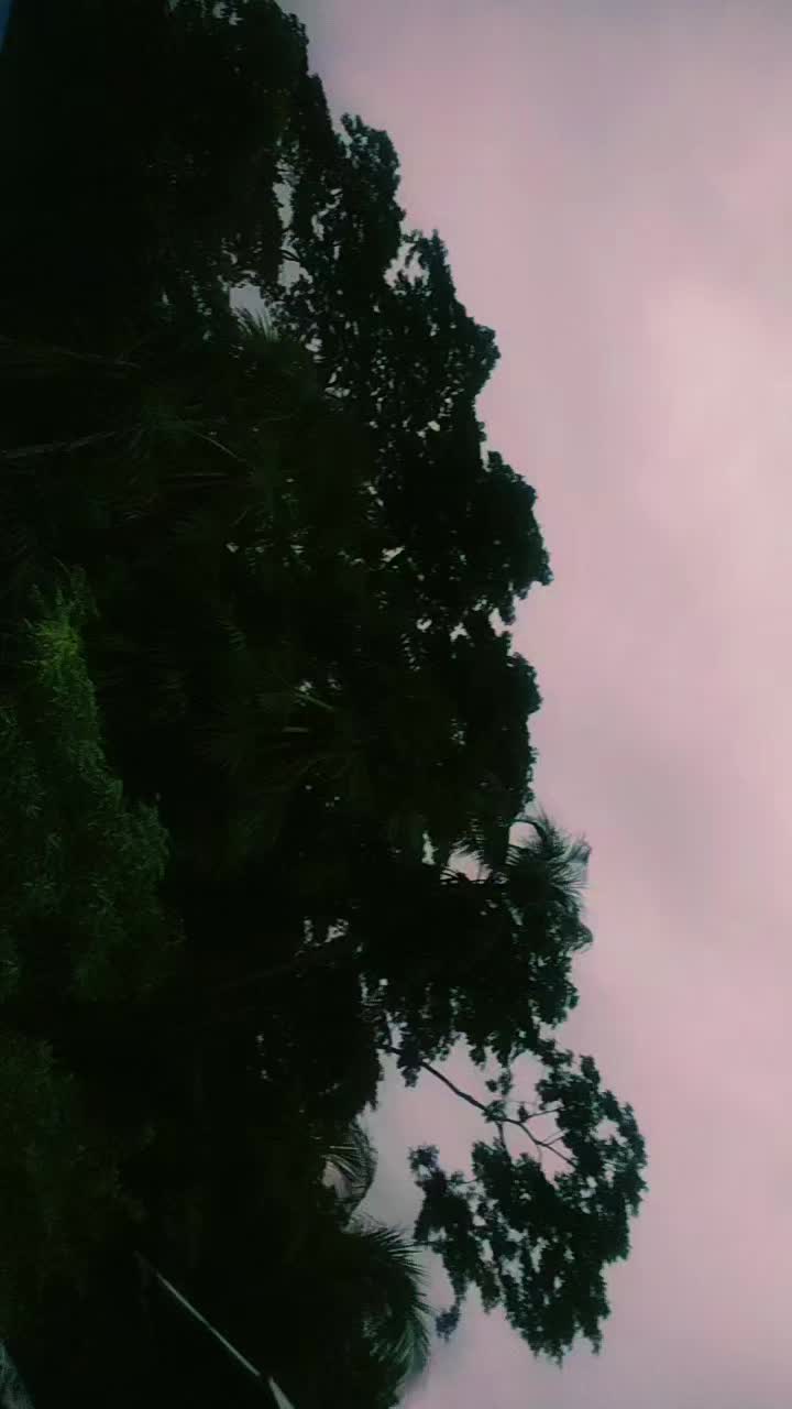 @★彡🥀কাগজের🍂 ফুল🥀彡★