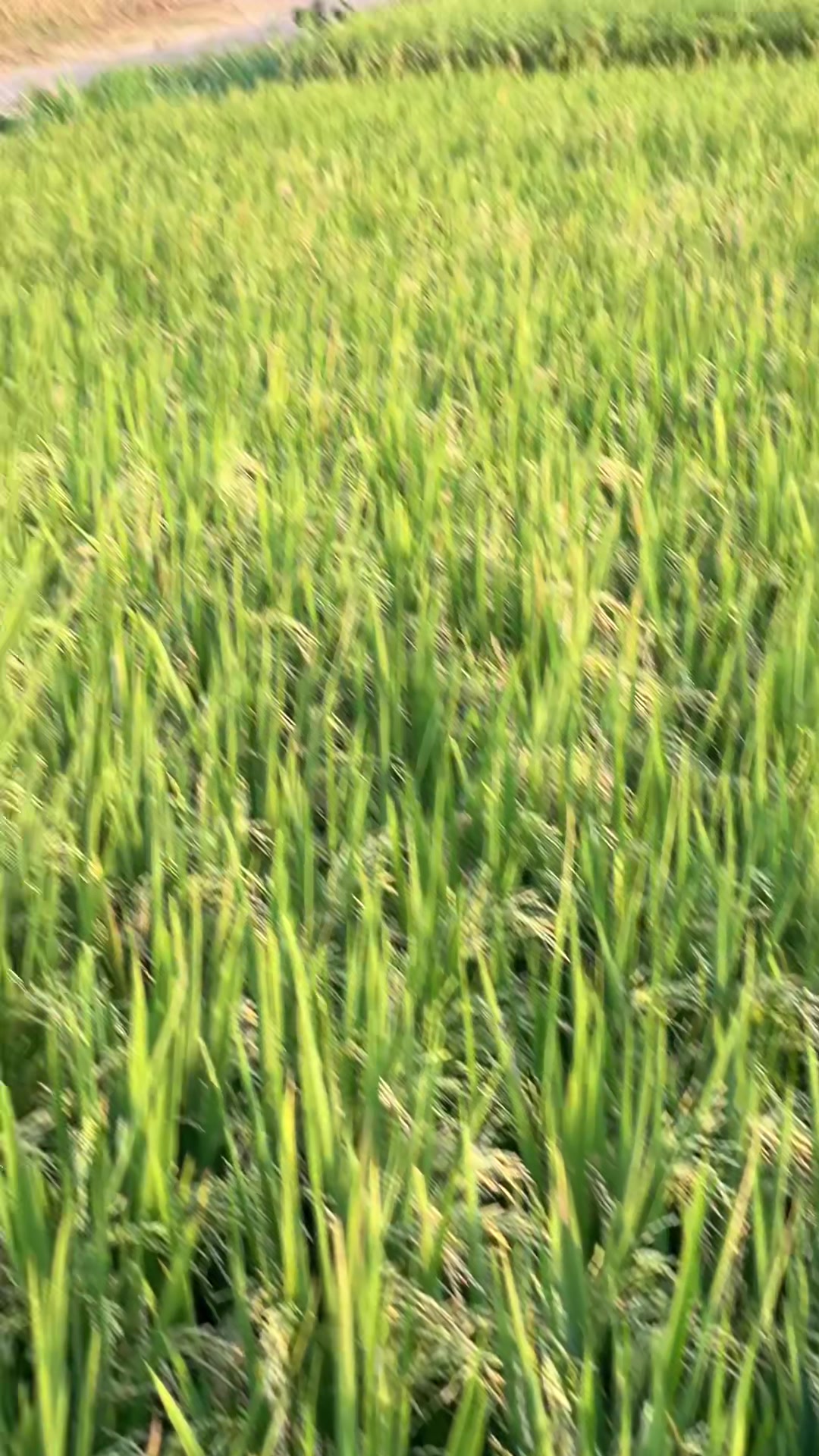 @𝙆𝙮𝙖𝙧𝙖𝙂𝙖𝙧𝙖𝙜𝙚