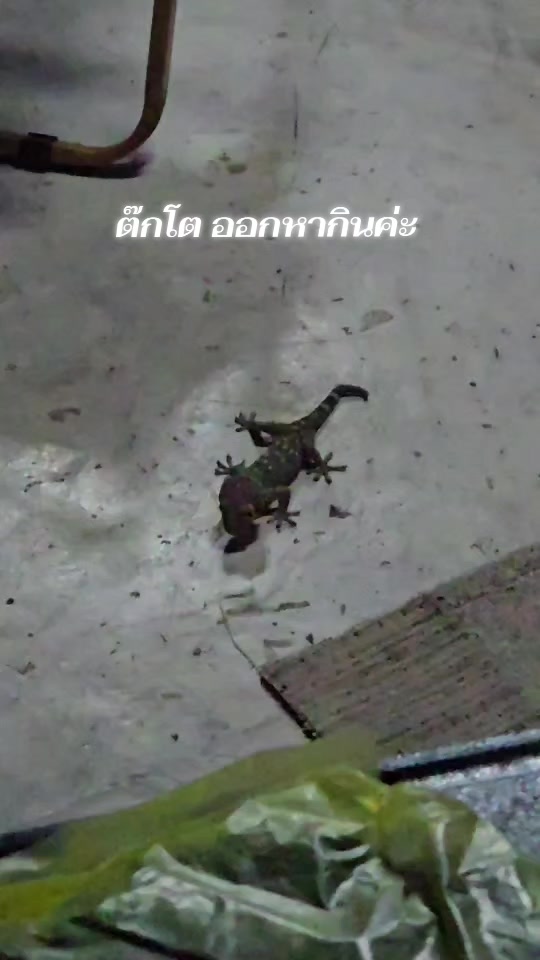 @ป้องภพและคลิปของเขา