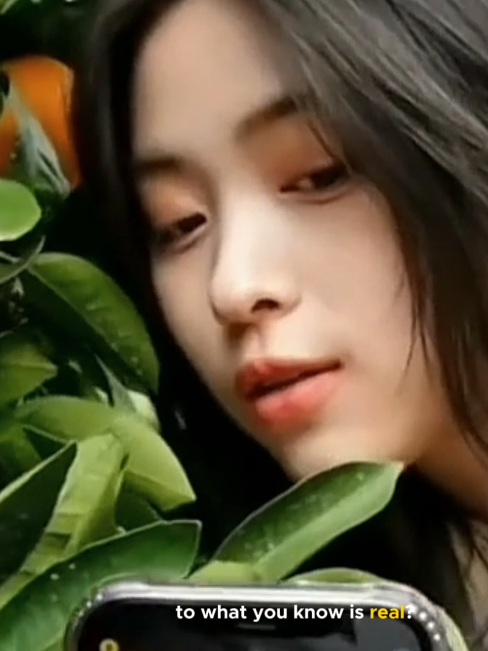 @shin_ryujin