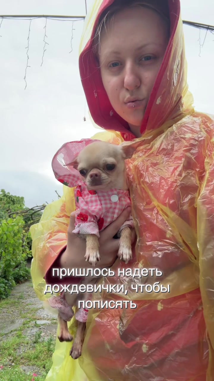 @Любовь Лисицкая