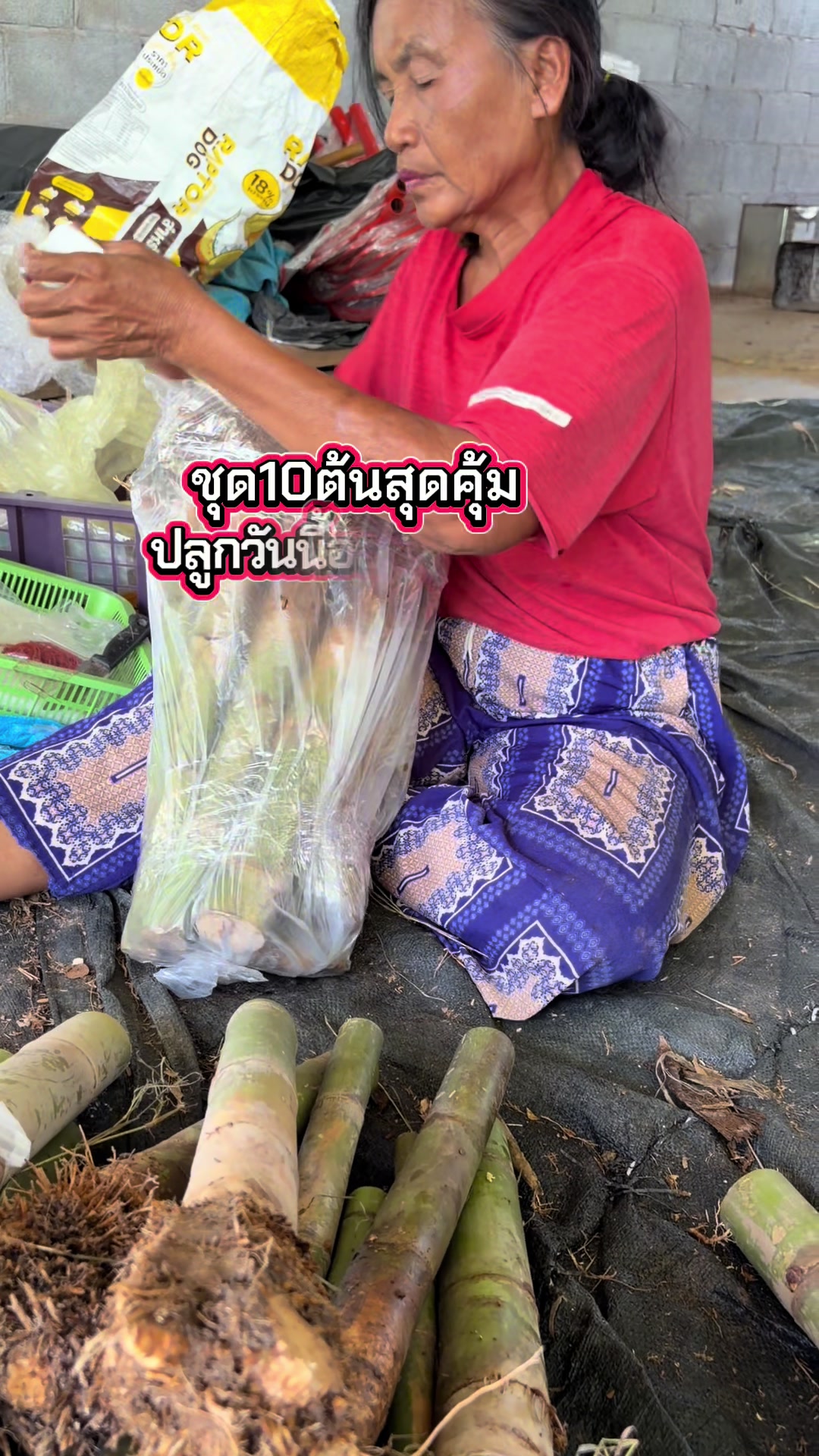 @นัดดาชอป