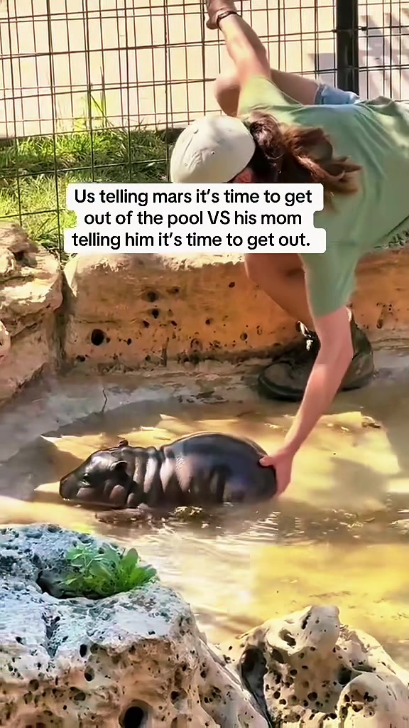 @NEXTSAUCE (ALL CONTENT)