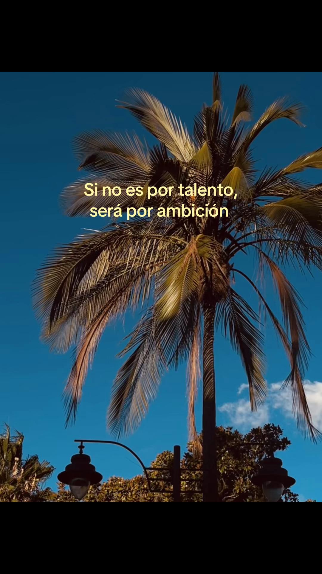 @Bel