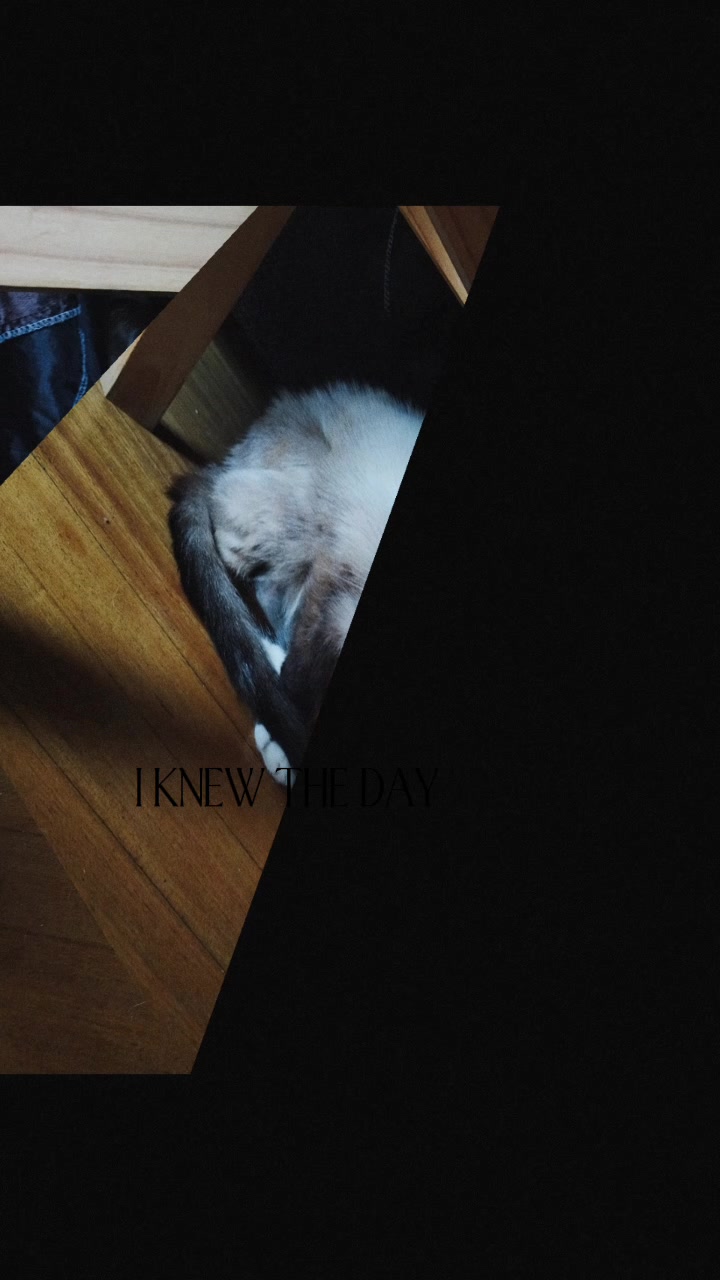 @🐰Nella-444🐰