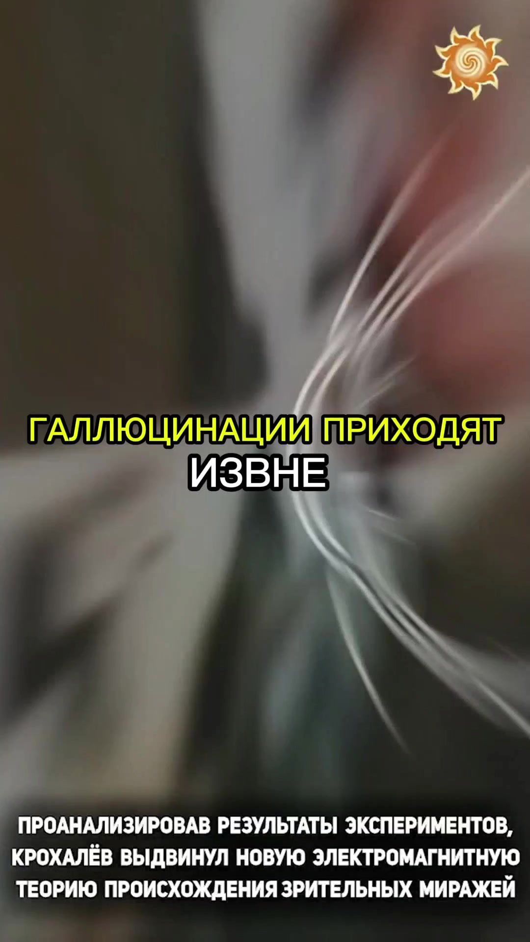 @Славмир