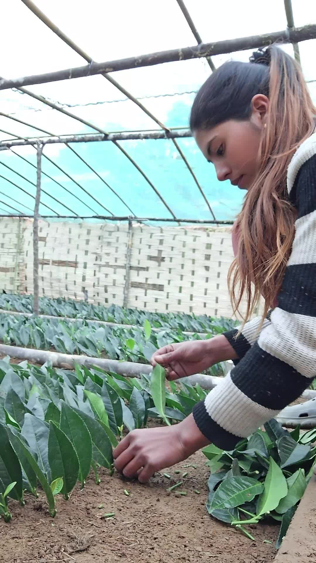 @Apsara Neupane