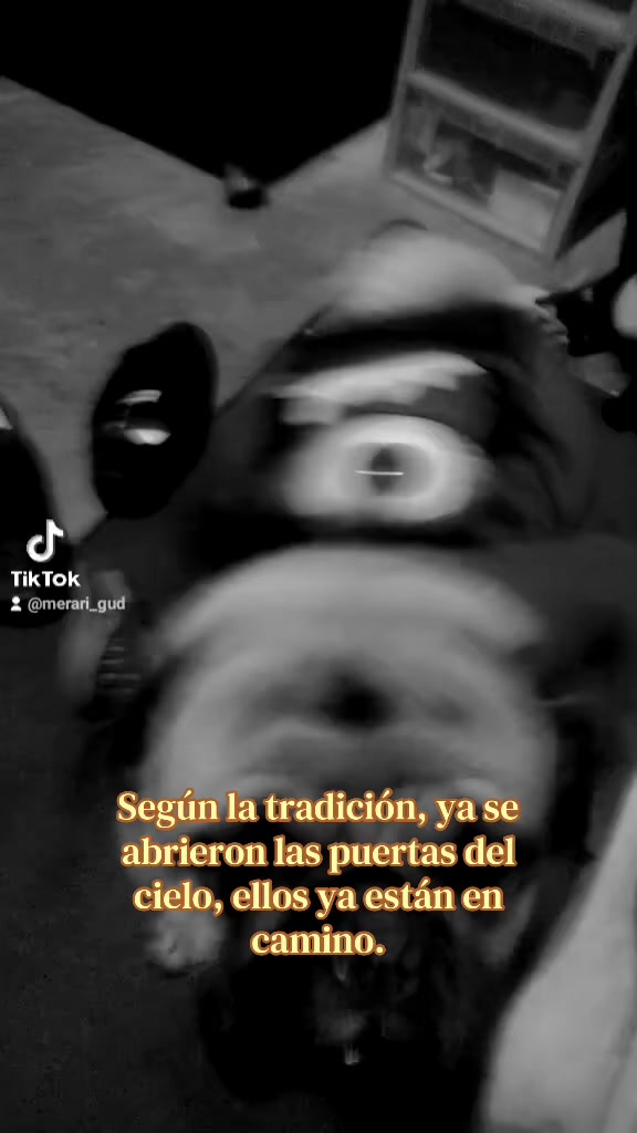 @❀┋ᴸᴬ ᴄ͢͢͢ʀɪᴍɪʙᴀʙʏ ♡🕵🏻♀️⚖️