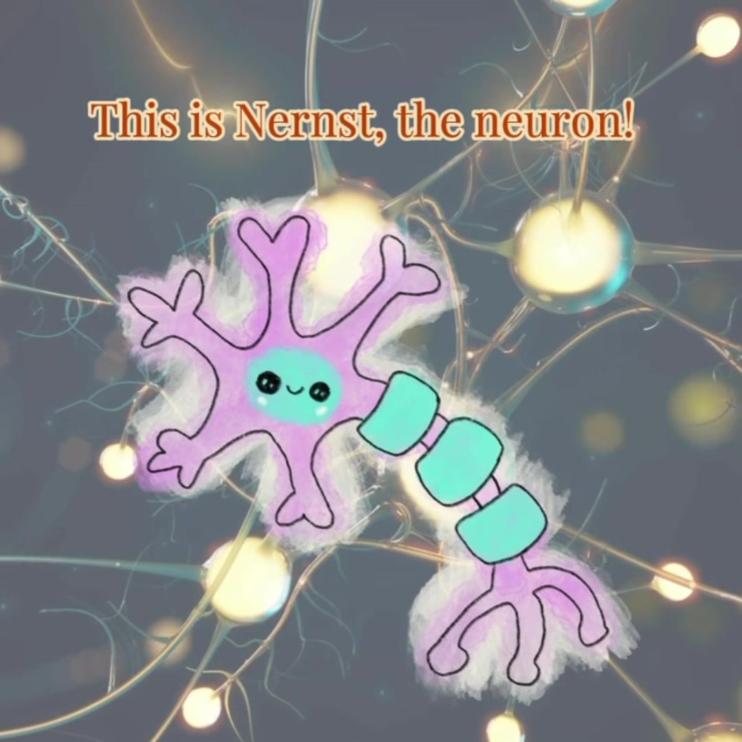 @neuron.erd