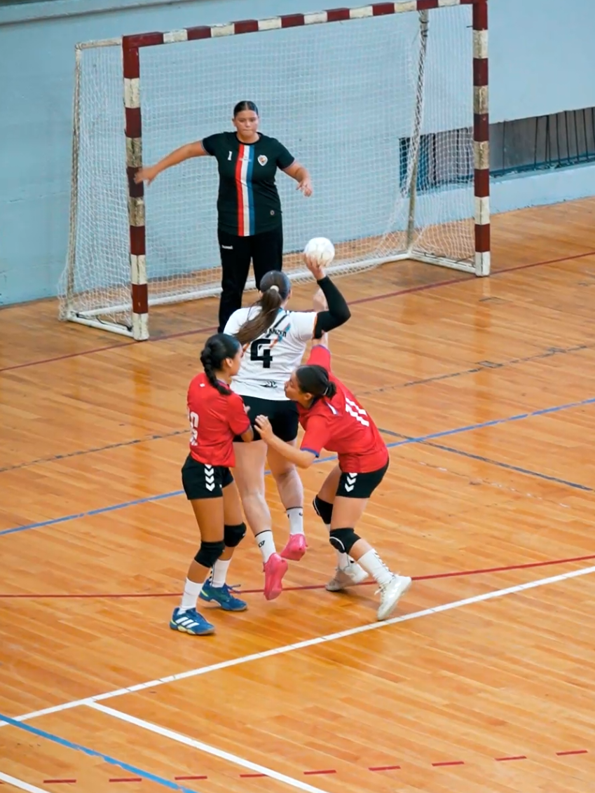 @Handball Argentina