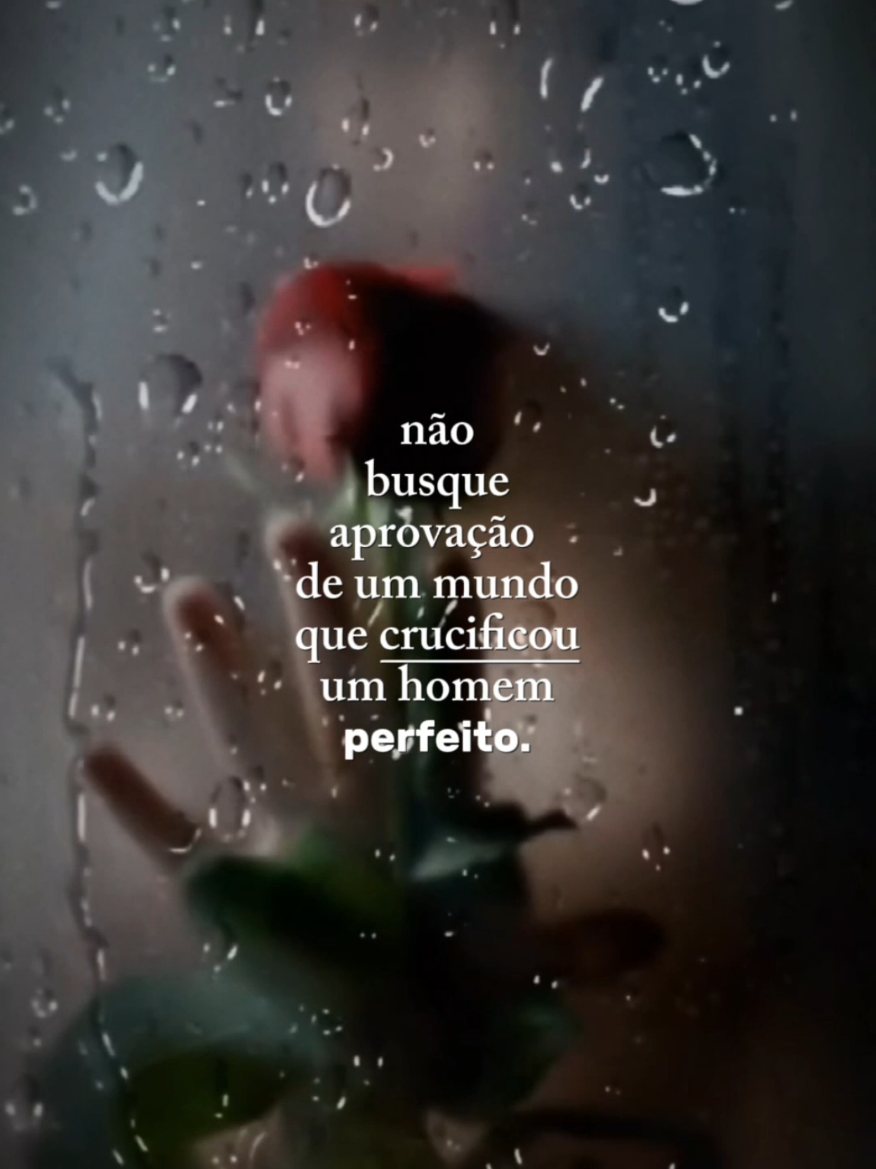 @Paz em Foco