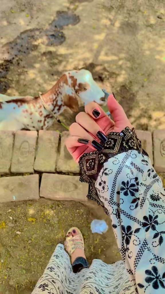 @خان🦋