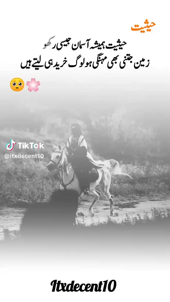@noobadshah
