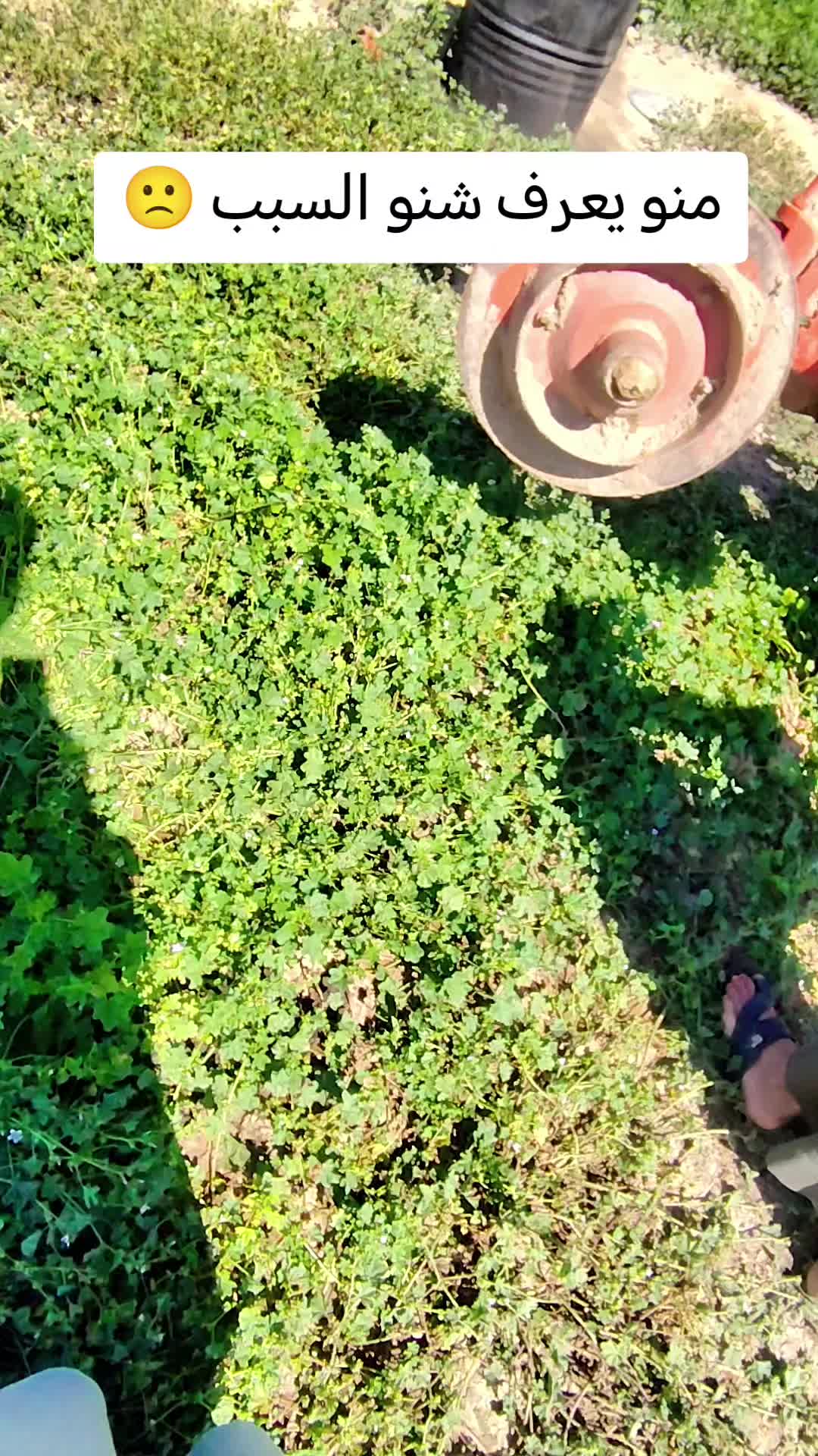 @أحمد الركاض اليوسف📸🍂