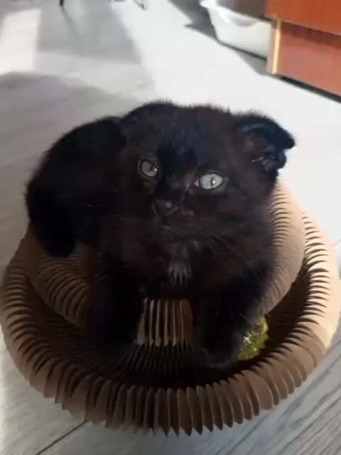 @๐ค๐ค๐ค ๐ค๐ค๐ค
