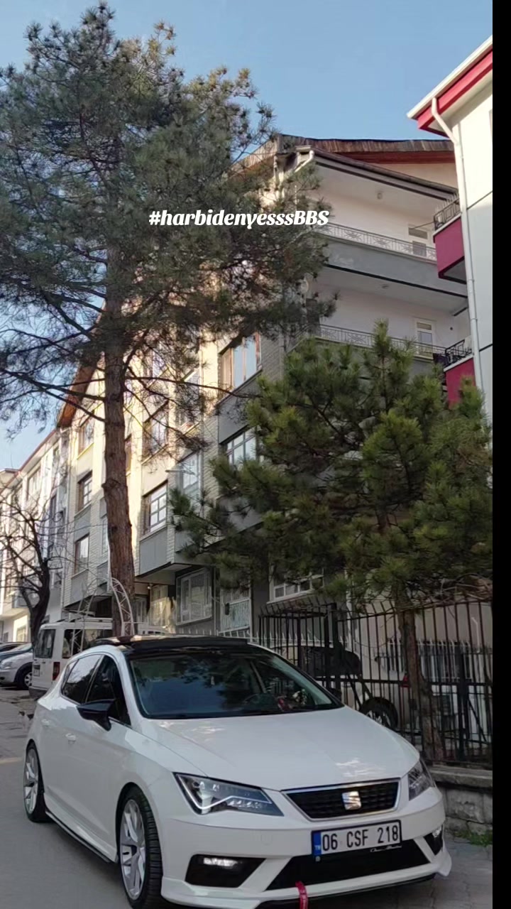 @𝑺𝑬𝑭𝑨✌️