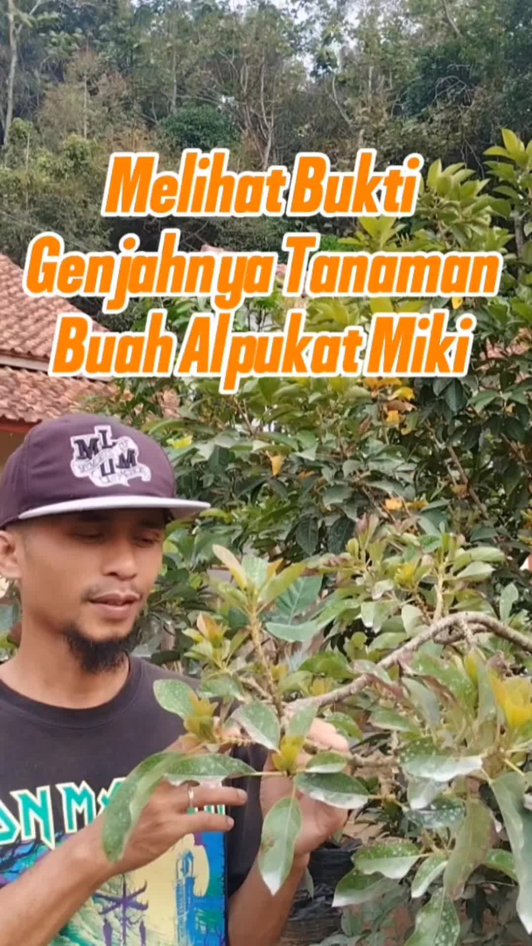 @Bukit Farming