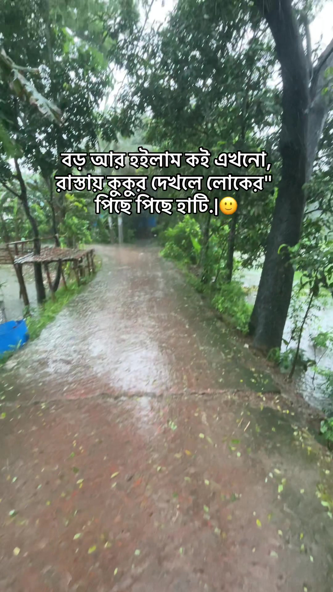 @Shahriar vaiye..🫧
