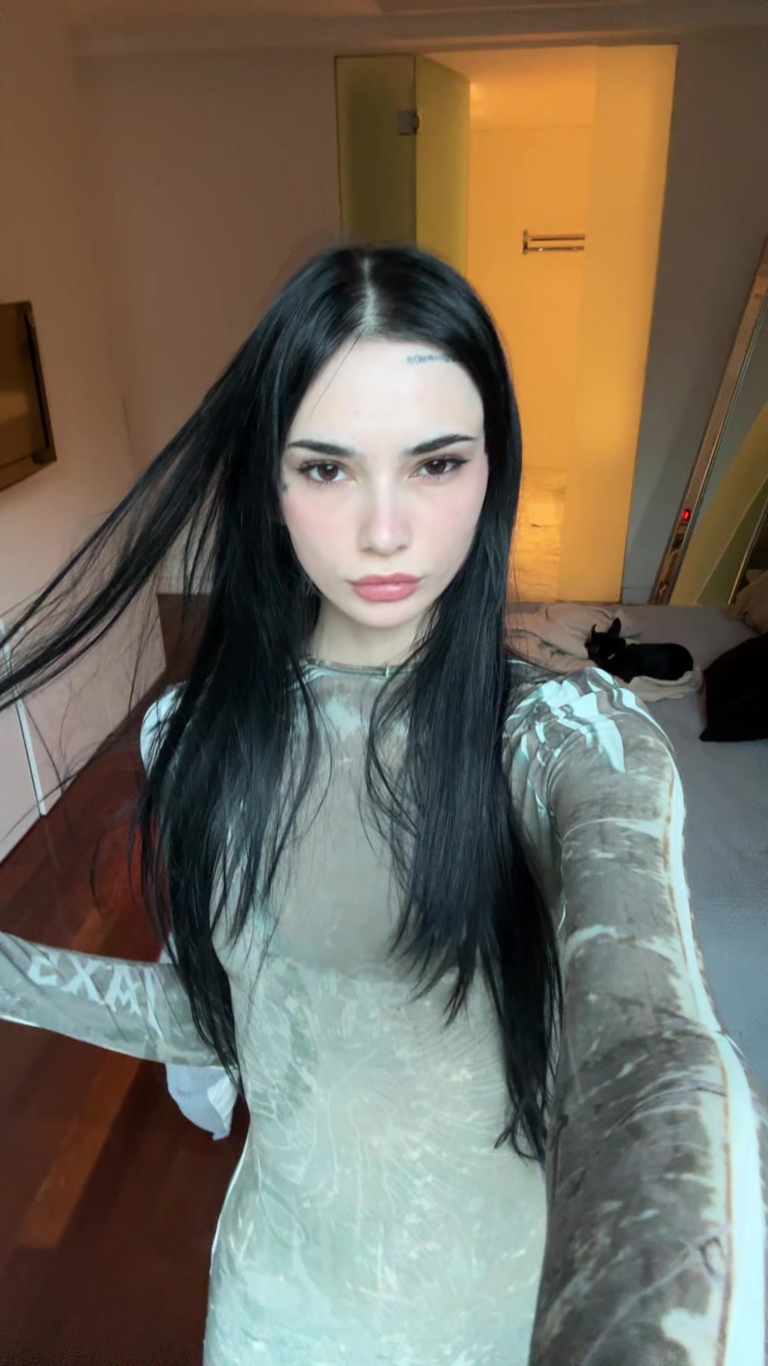 @Palinavarraz
