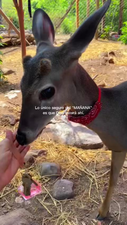 @Gloria aguilar