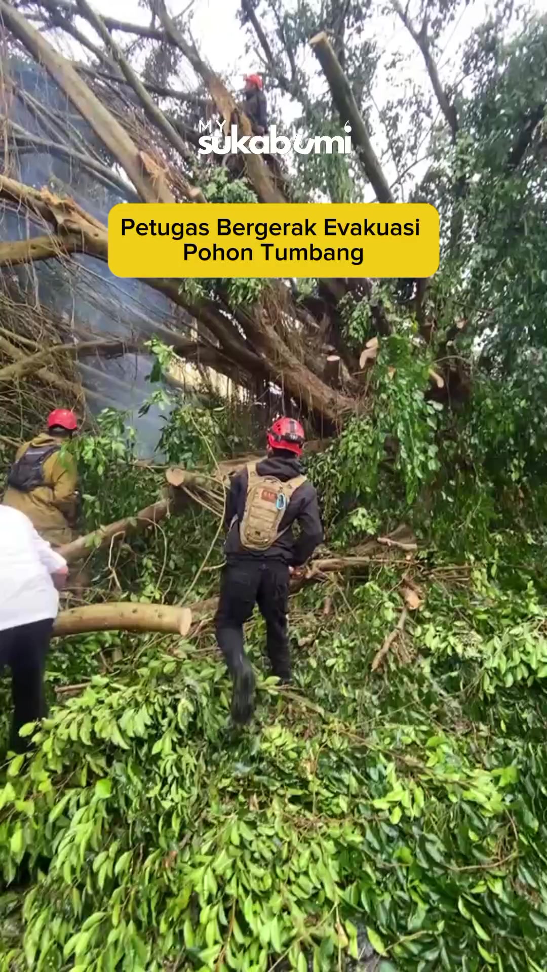 @Mysukabumi