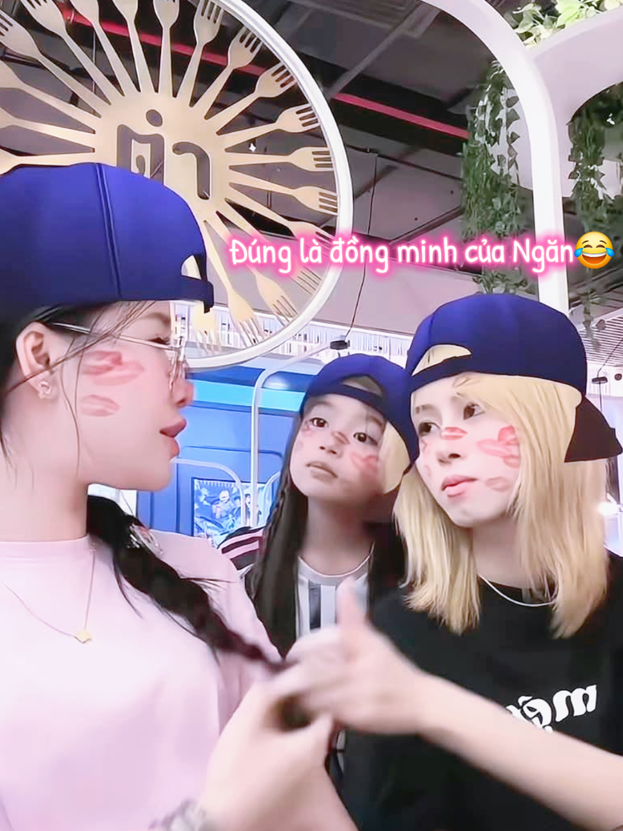 @Cây Dừa Miền Tây🌴