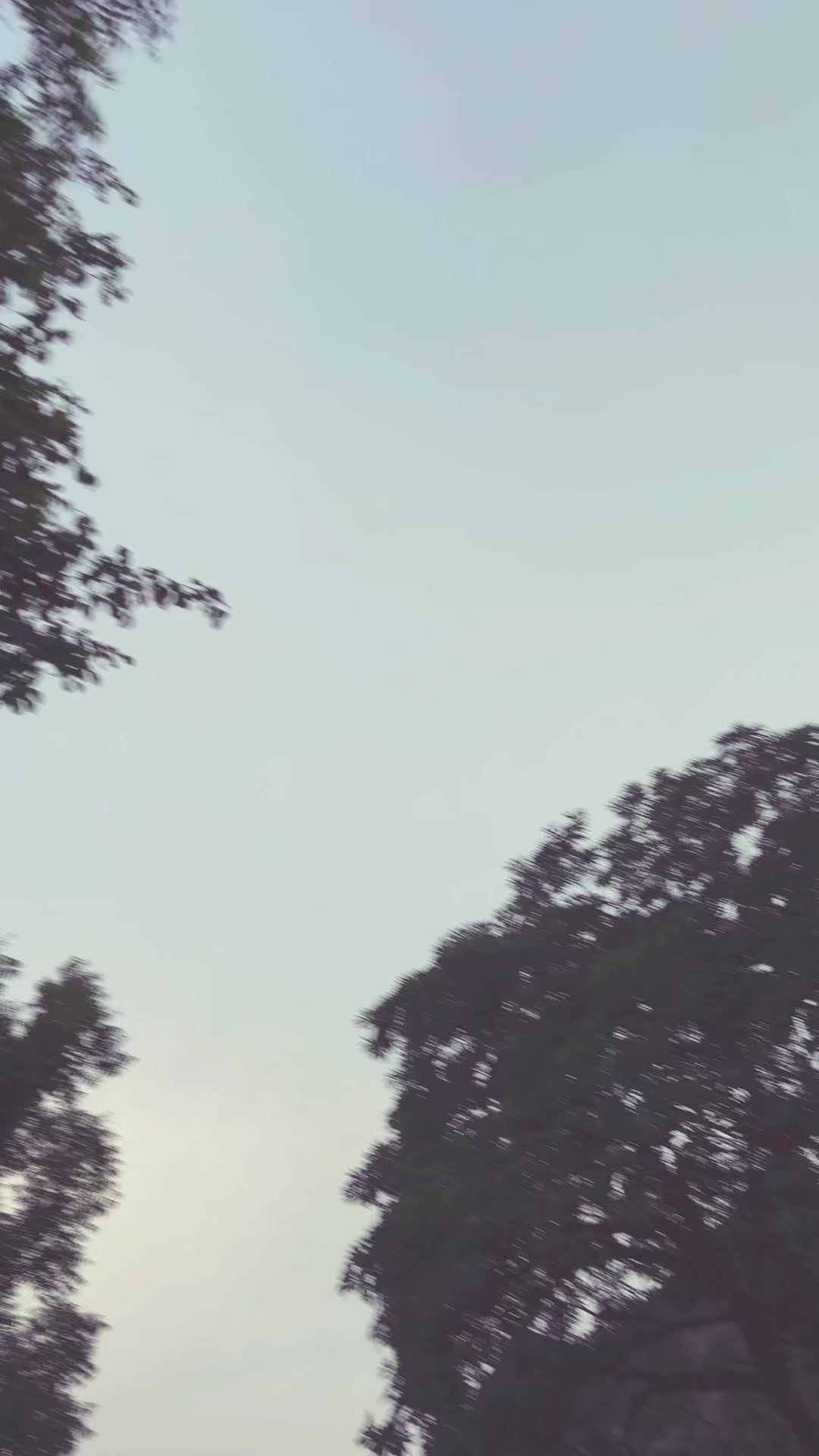 @susutrashcam