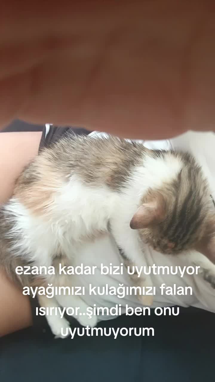 @Leman Şıhca