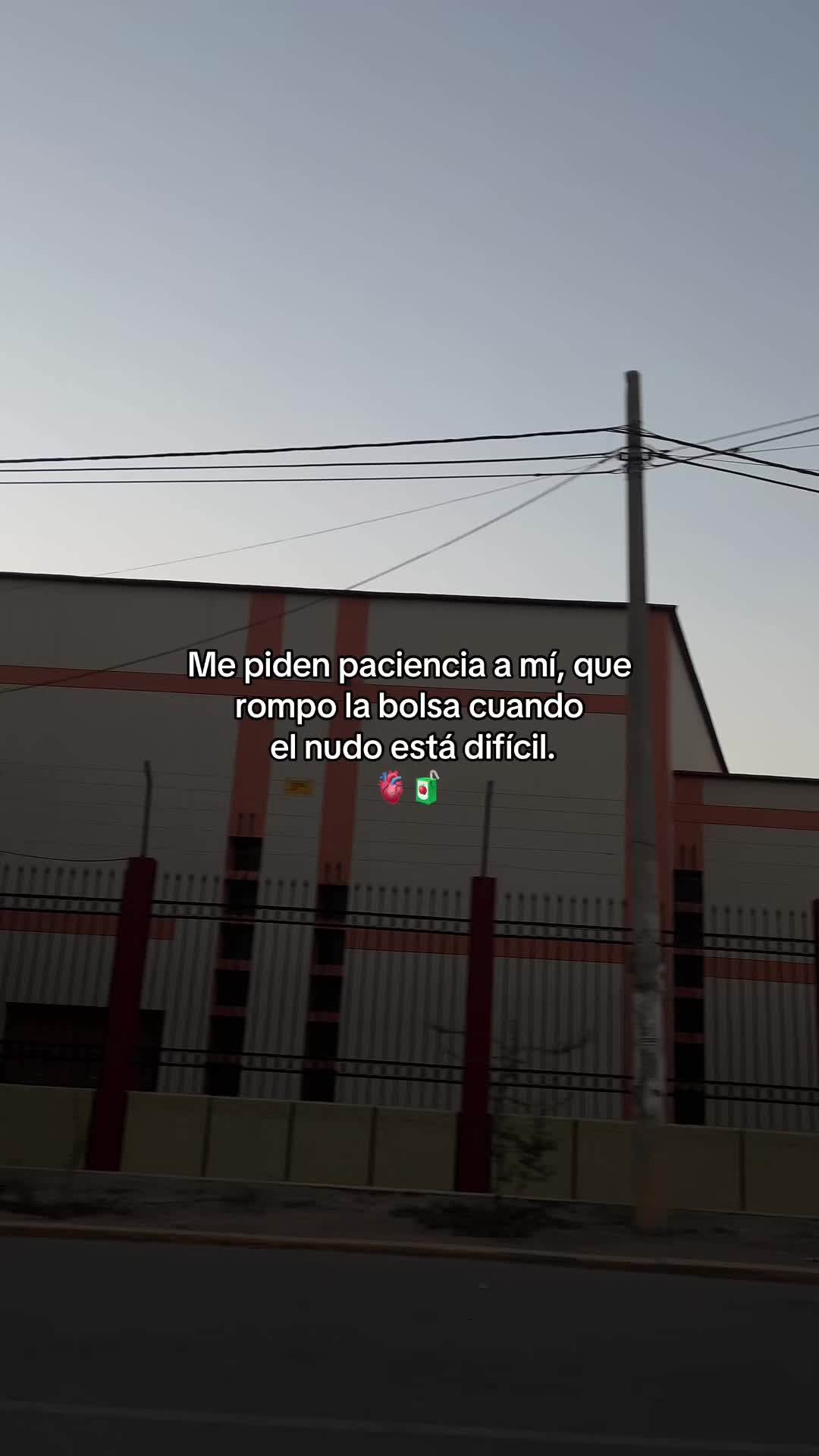 @Gatocix 🐱