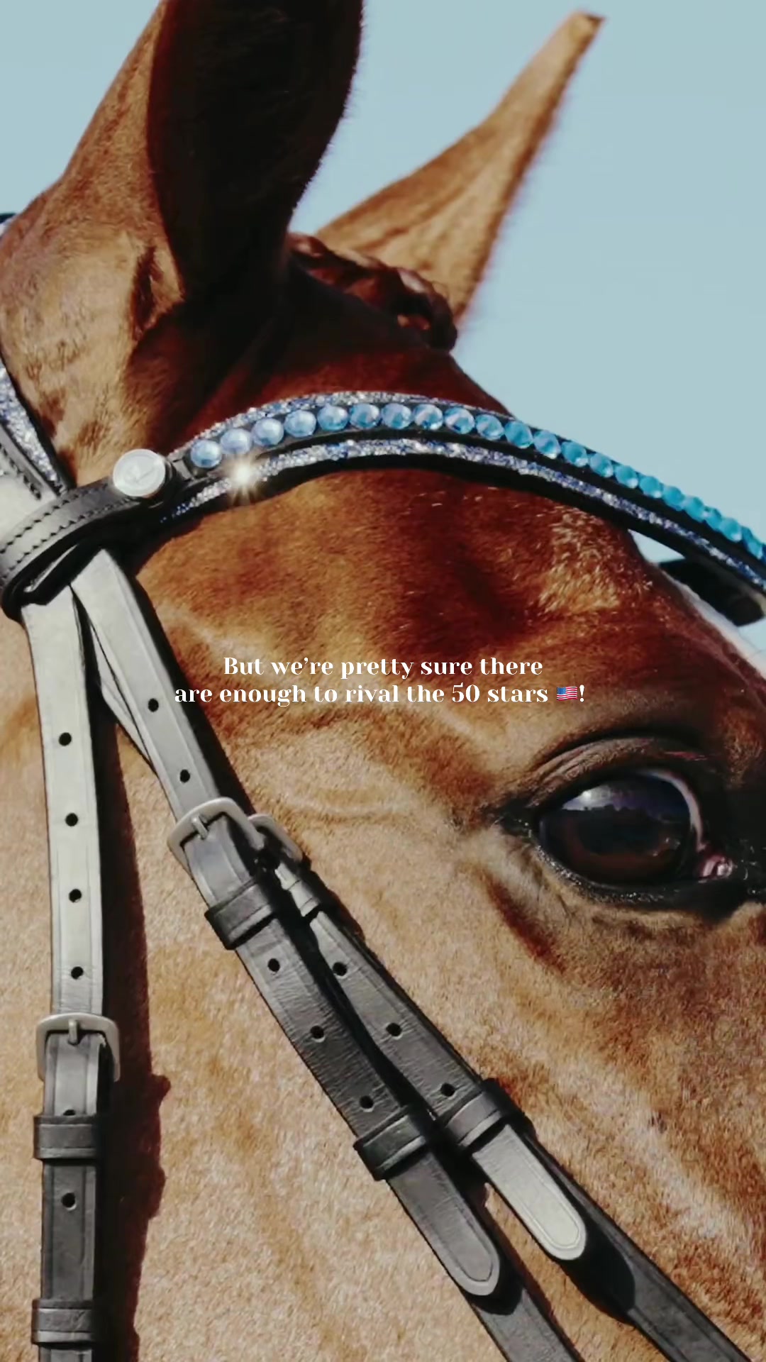 @LumiereEquestrian