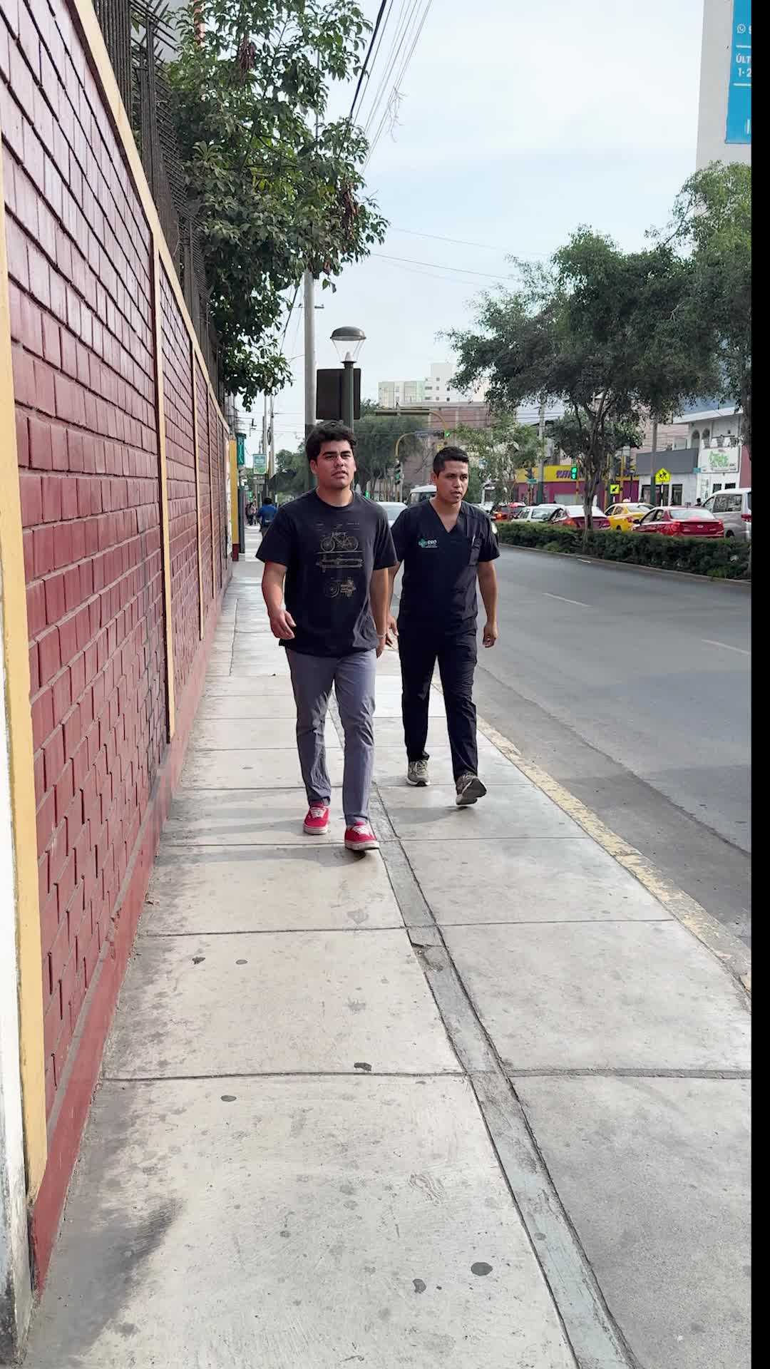 @CEO SALUD