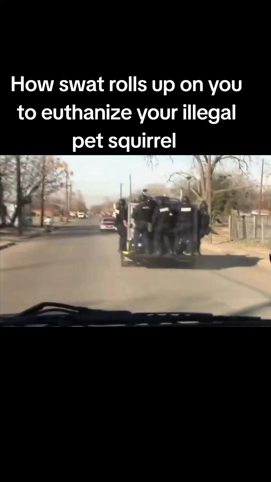 @stazinski