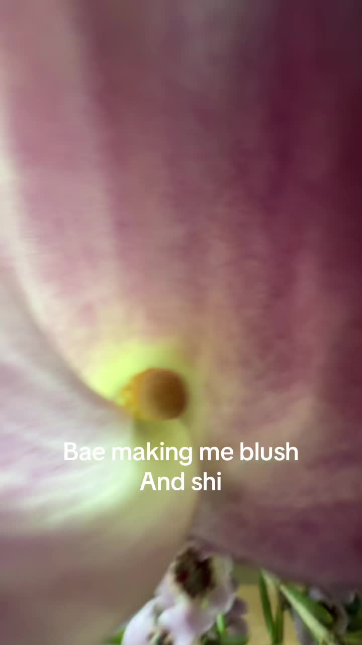 @beforethefame_v1