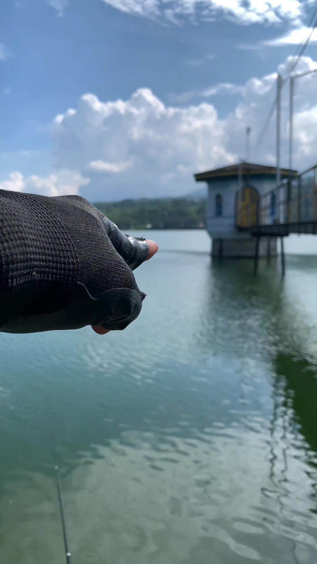 @MAFIA FISHING