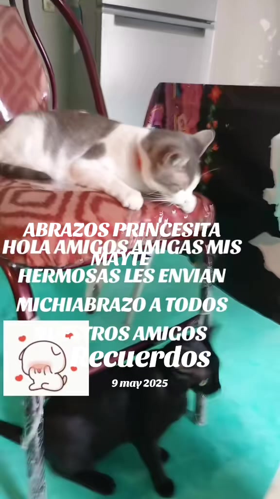 @minyna102