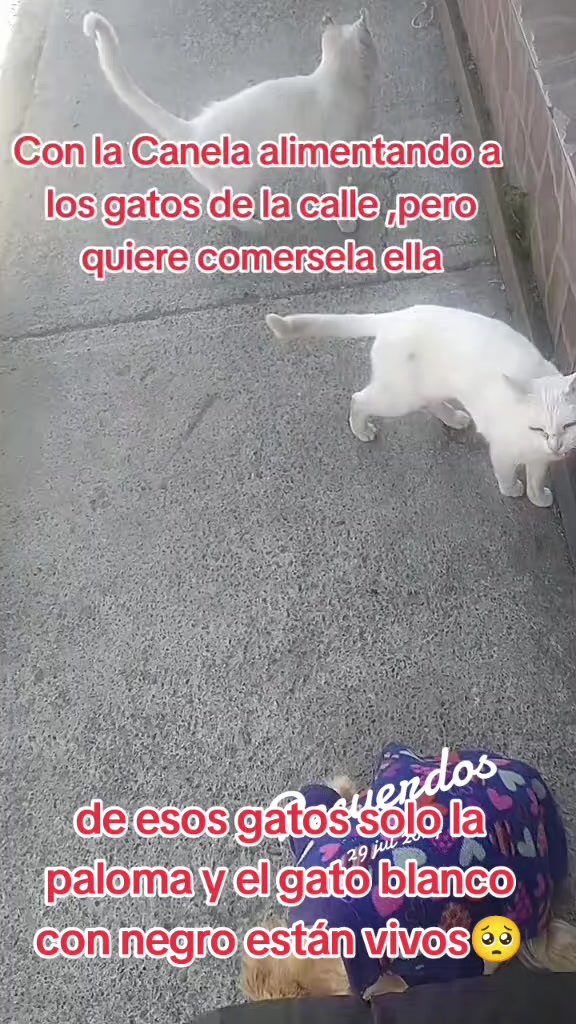 @Canelita@la bonita