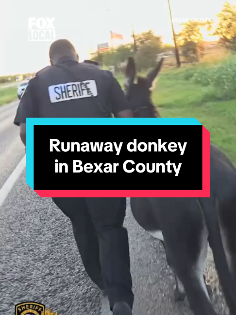 @FOX 7 Austin