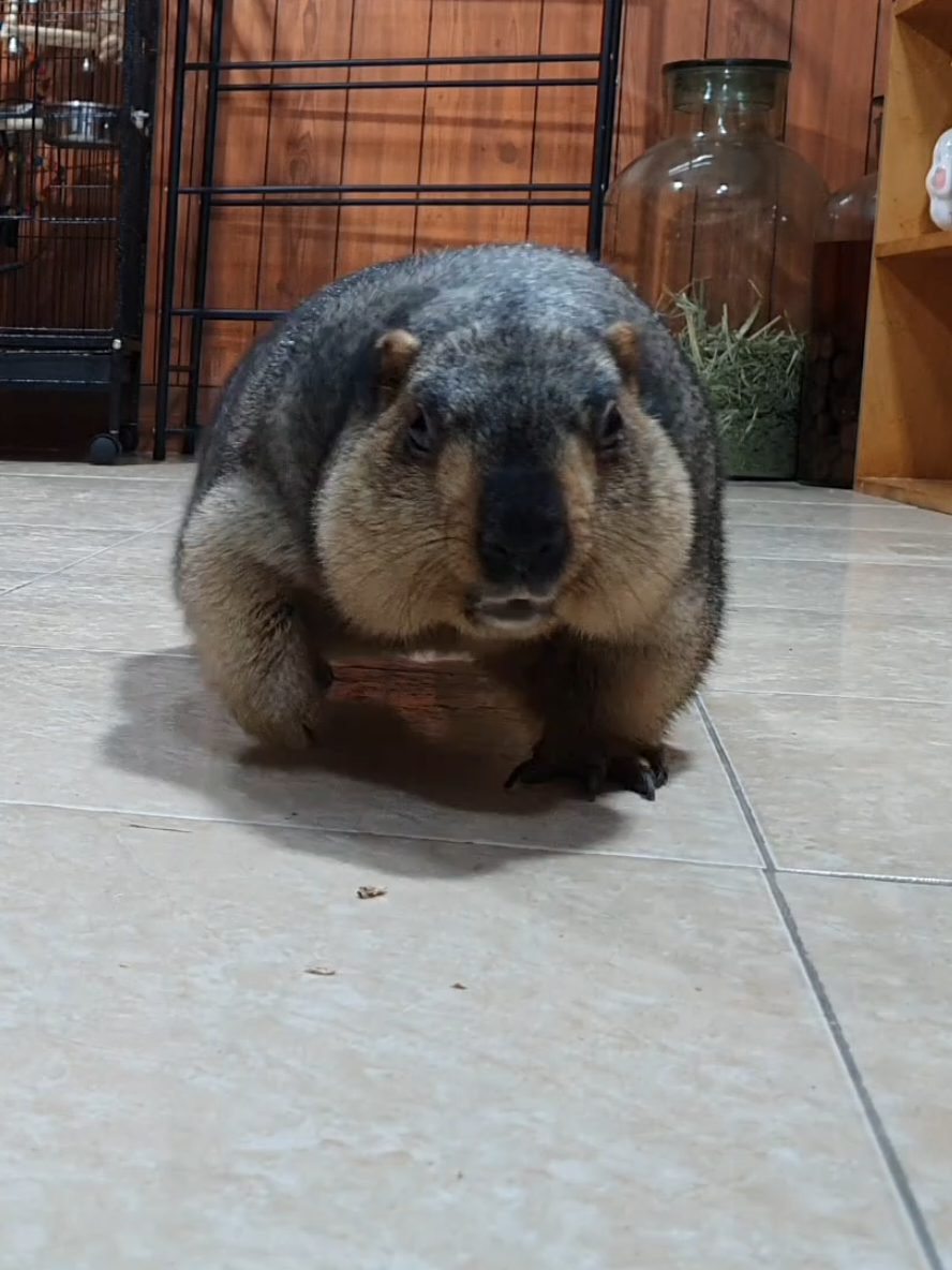 @YêuYêu